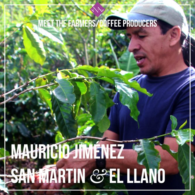 Bilde av kaffeprodusent i Costa Rica