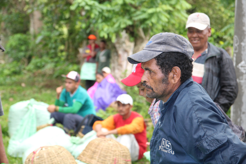 Bilde av kaffeplukkere i Nicaragua